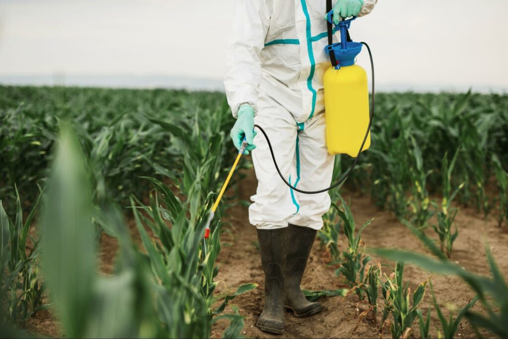 Man spraying toxic pesticides or insecticides